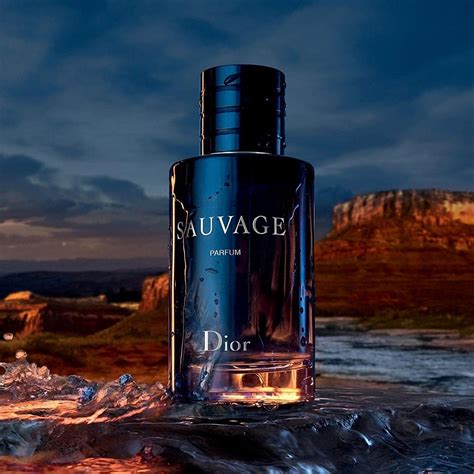 dior - sauvage parfum|Dior Sauvage cheapest price.